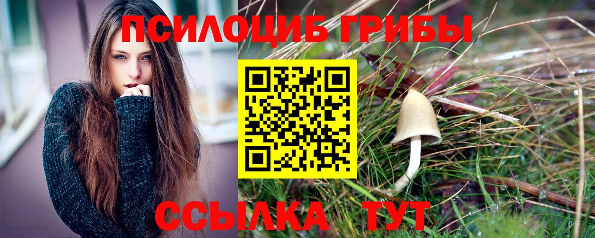 Псилоцибиновые грибы Psilocybine cubensis  Вход с VPN  Людиново  Галлюциногенные грибы прущие грибы 